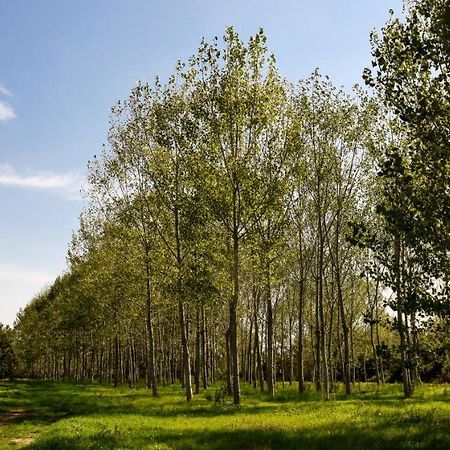 Masseria Giosole カプア エクステリア 写真